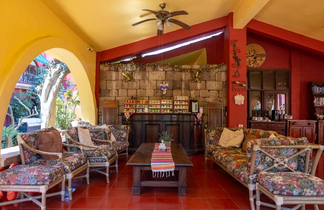 Collection O Casa Bella Hotel Boutique, Cabo San Lucas-1